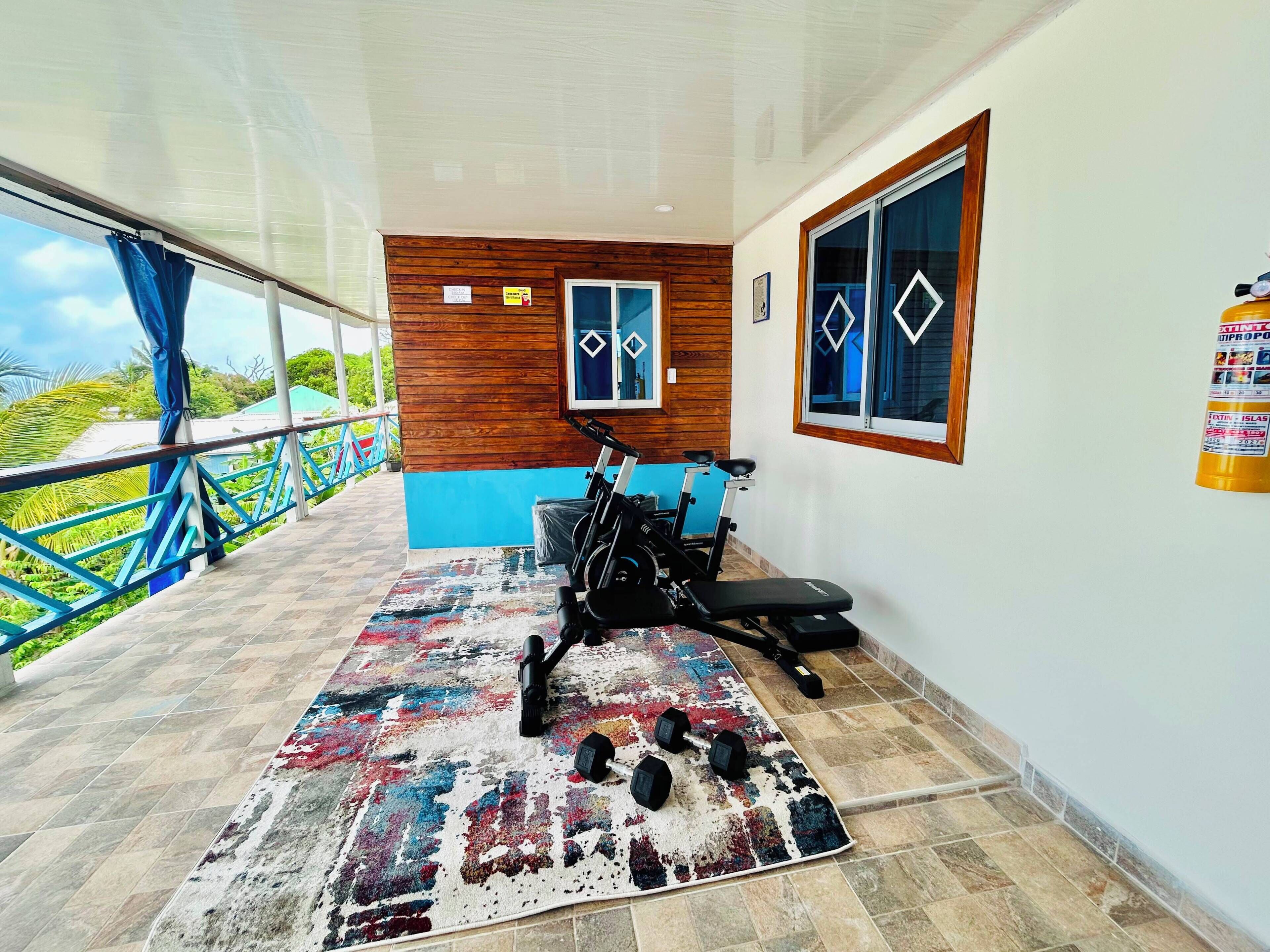 A gym with exercise equipment, a patterned rug, and a view of greenery outside.