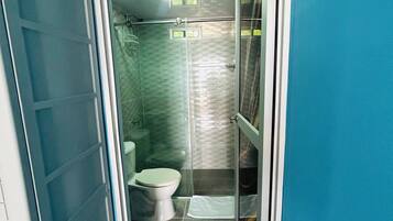 Een badkamer met toilet, douche en glazen deur.