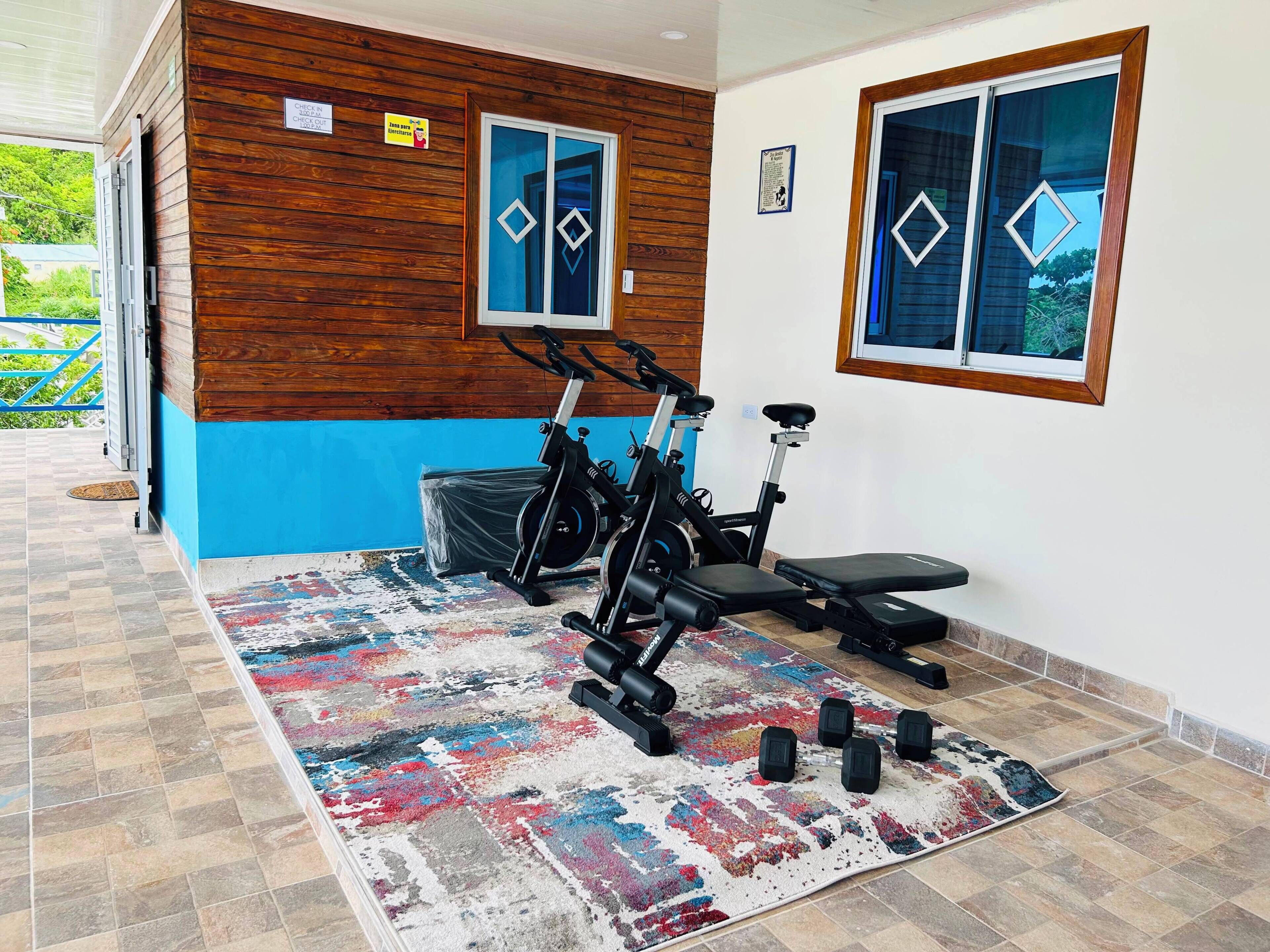 Ein Fitnessraum mit Trainingsgeräten, einem gemusterten Teppich und einer Wand in Blau- und Brauntönen.