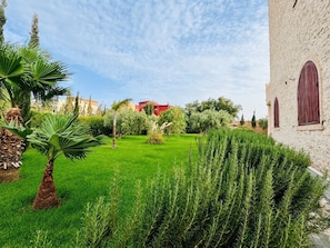 A well-maintained garden with a variety of plants and a building with arched windows.