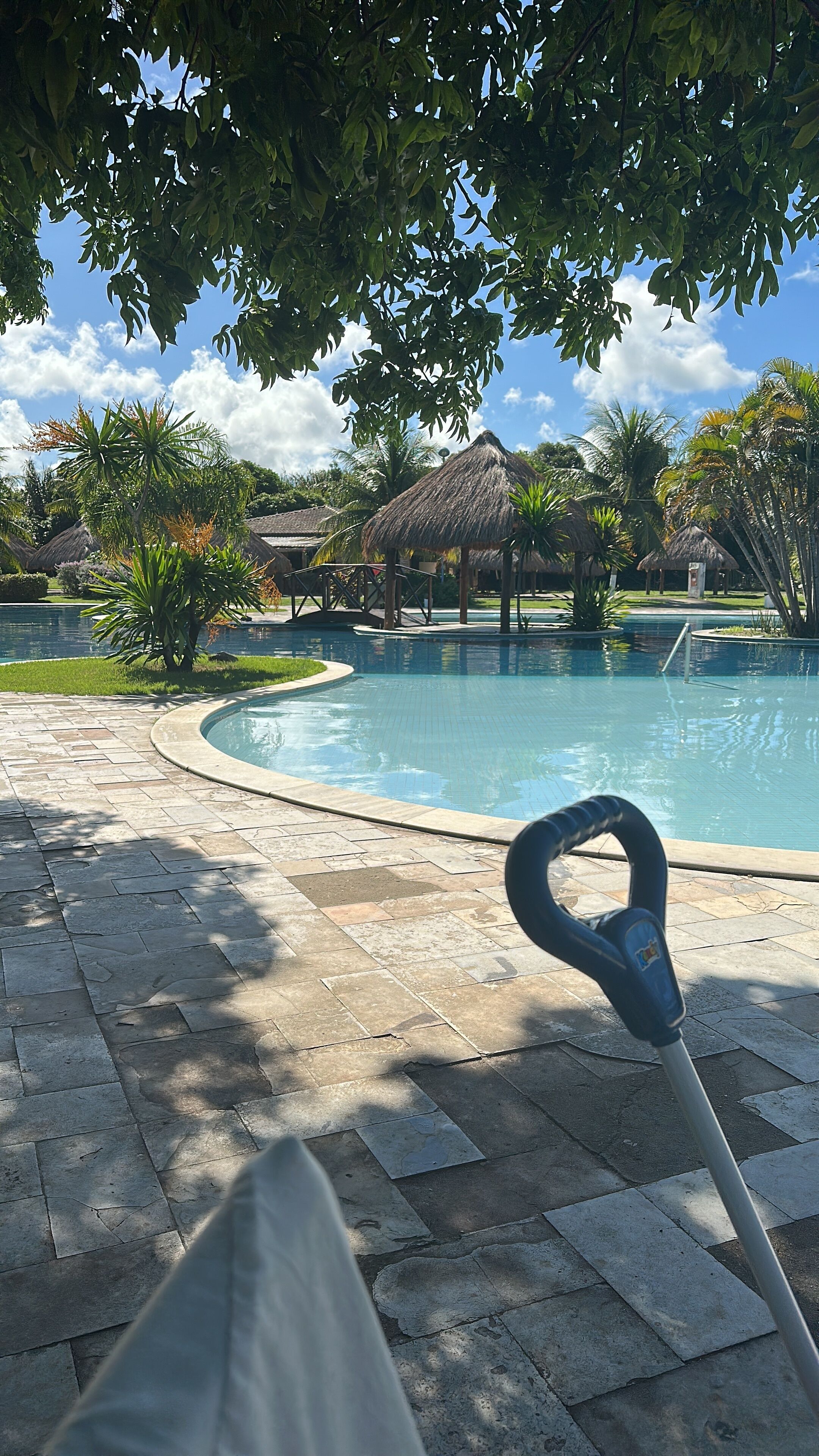 Ein Swimmingpool mit einer strohgedeckten Struktur im Hintergrund, umgeben von viel Grün und einem gefliesten Weg.