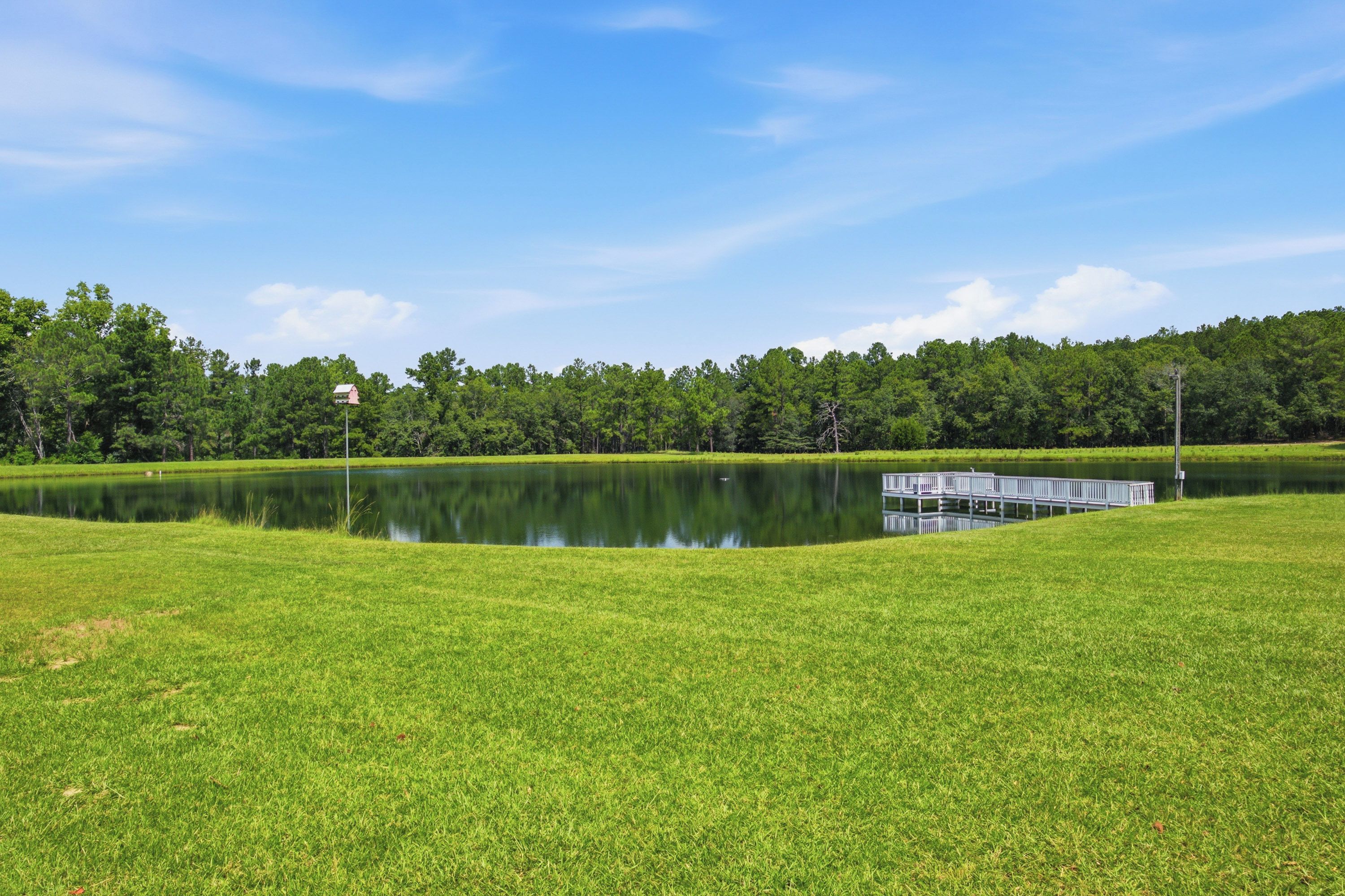 A tranquil park with a lake, a grassy area, and a wooden dock.