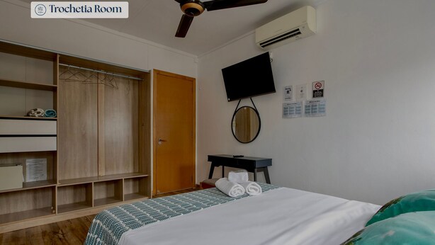 Room - Casa Maria - Affordable Luxury Rooms - Trochetia (Port Louis)