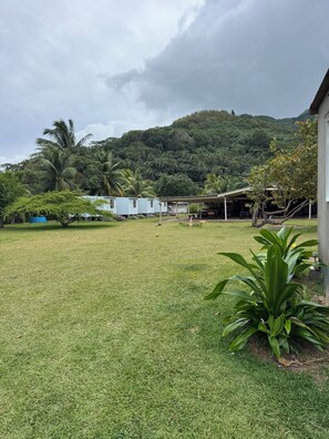 A grassy area with a building, a palm tree, and a hill in the background. - VAI Bungalow with beach access, kayaks, and a relaxation area by the lagoon (MOOREA Haapiti)