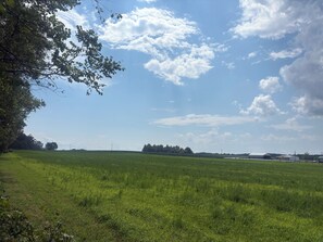 A rural landscape with a field, trees, and a clear sky. - The Milk House No. 1- Farm life at its Best! (Bidwell)