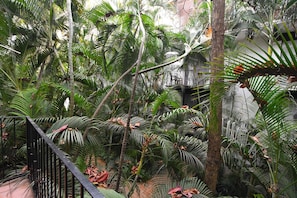 A lush indoor garden with various tropical plants and a metal railing. - Central Apartment in the Hotel Zone, 10 Minutes from the Boardwalk (Puerto Vallarta)