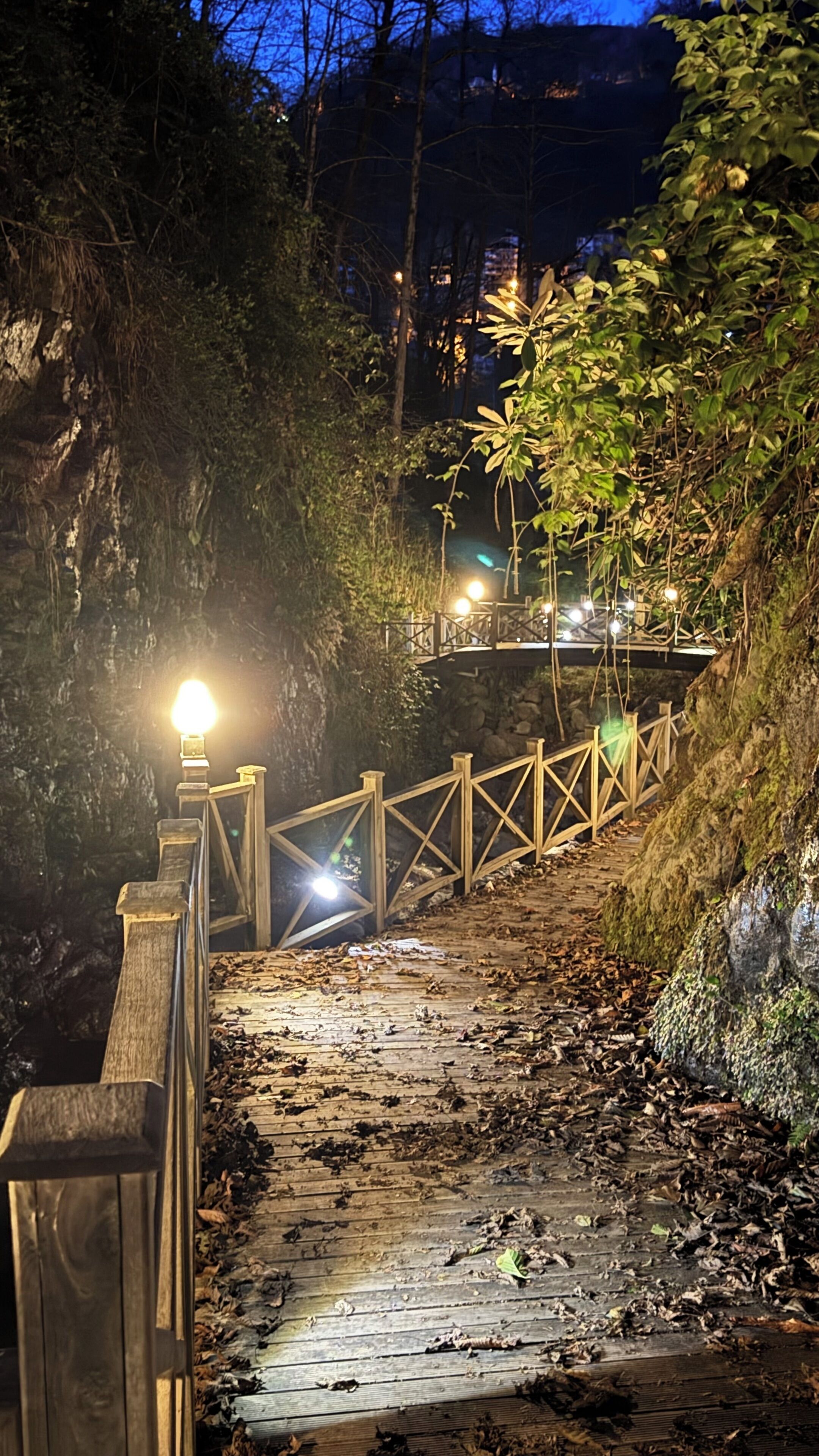 A wooden pathway leading to a bridge with railings, surrounded by trees and foliage.