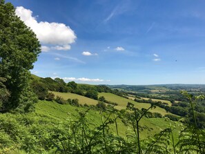A panoramic view of a lush green landscape with rolling hills and a clear blue sky. - Coach House Retreat - Beaminster, Dorset (Beaminster)
