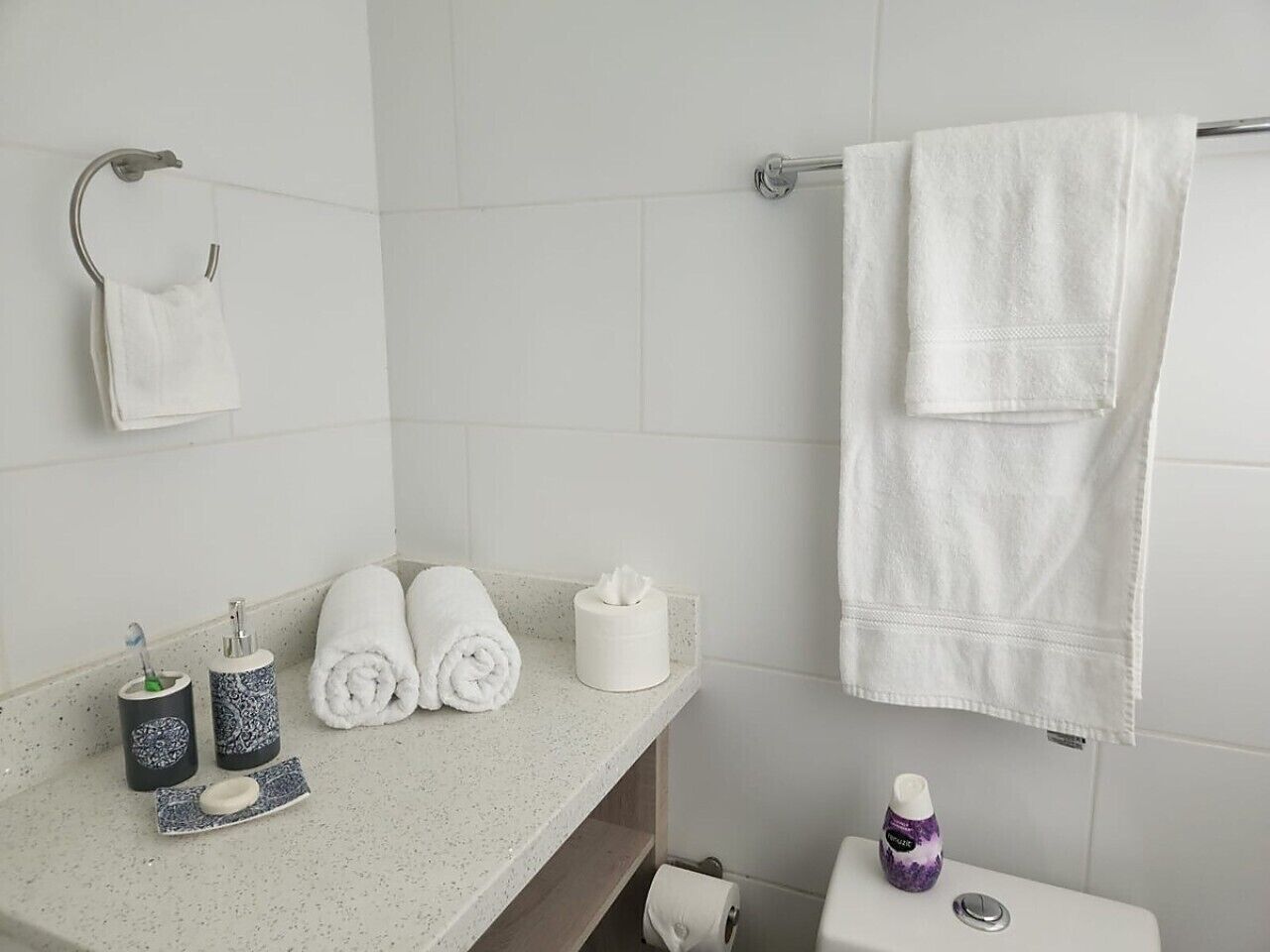 A bathroom with a white countertop, two rolled towels, a white tissue box, a soap dish, a toothbrush holder, a toilet paper roll, and a bottle of hand sanitizer.