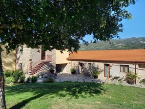 Exterior - Vrbo Property (Amarante)