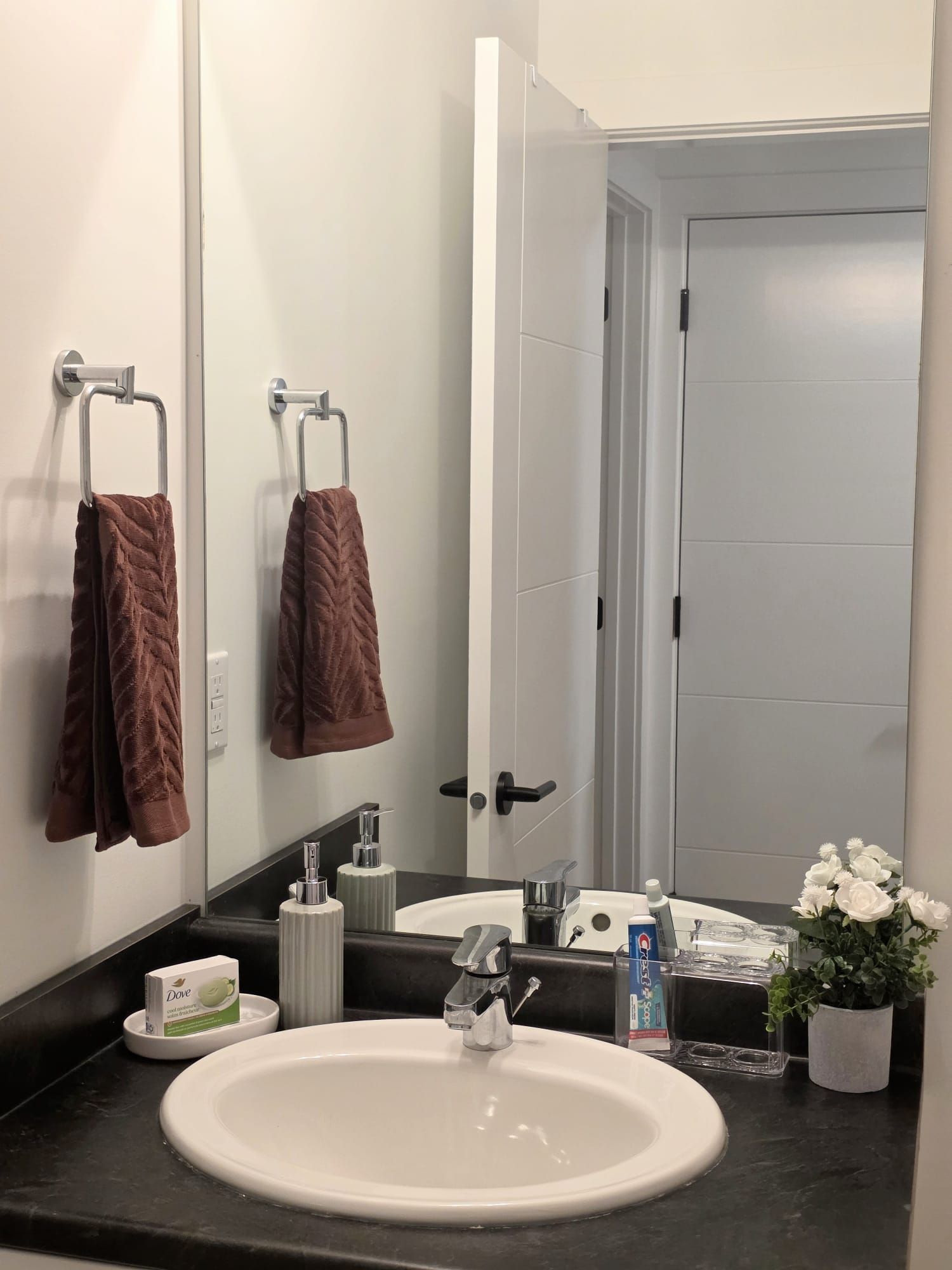 Ein Badezimmer mit einem weißen Waschbecken, einem Spiegel, einem Handtuchhalter mit zwei Handtüchern, einer Dove Seife, einer Tube Crest Zahnpasta und einer Topfpflanze.