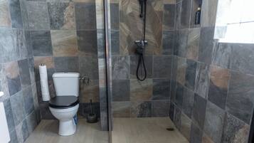 A bathroom with a shower, toilet, and a toilet paper holder.