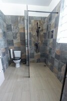 Un baño con ducha, inodoro y dispensador de papel higiénico.