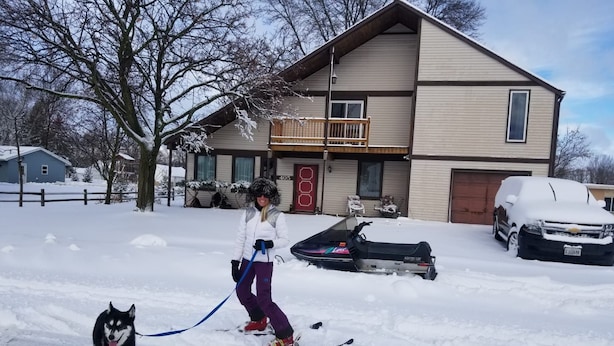 A person skiing with a dog in a snowy residential area. - 4BR in Black Creek, near Green Bay Appleton, EAA, hunt, fish, raft, snowmobile (Black Creek)
