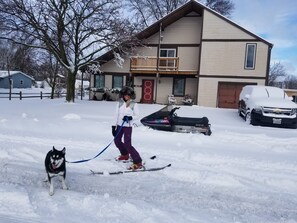 A person skiing with a dog in a snowy residential area.