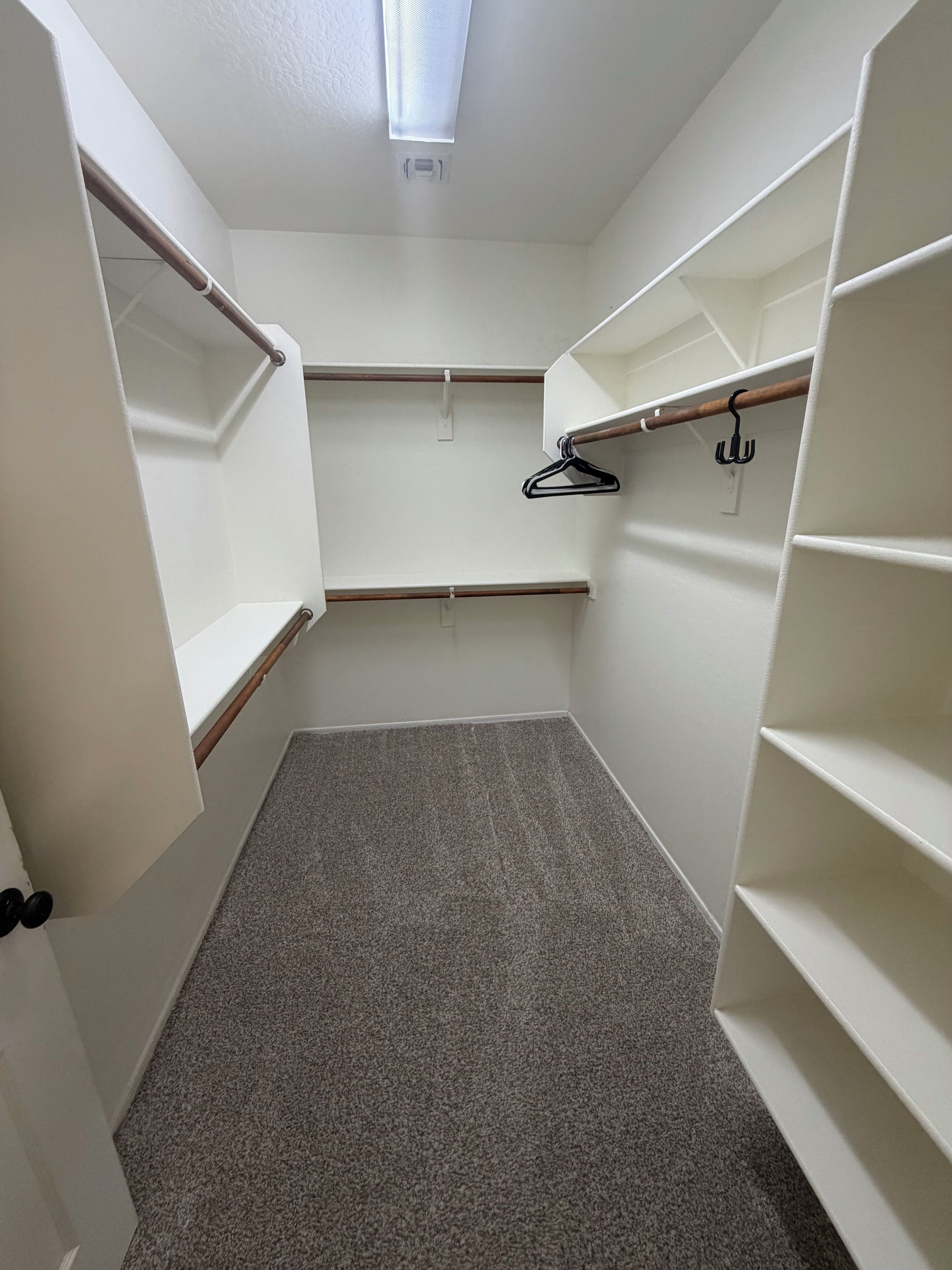 A walk-in closet with open shelving, a hanging rod, and a carpeted floor.