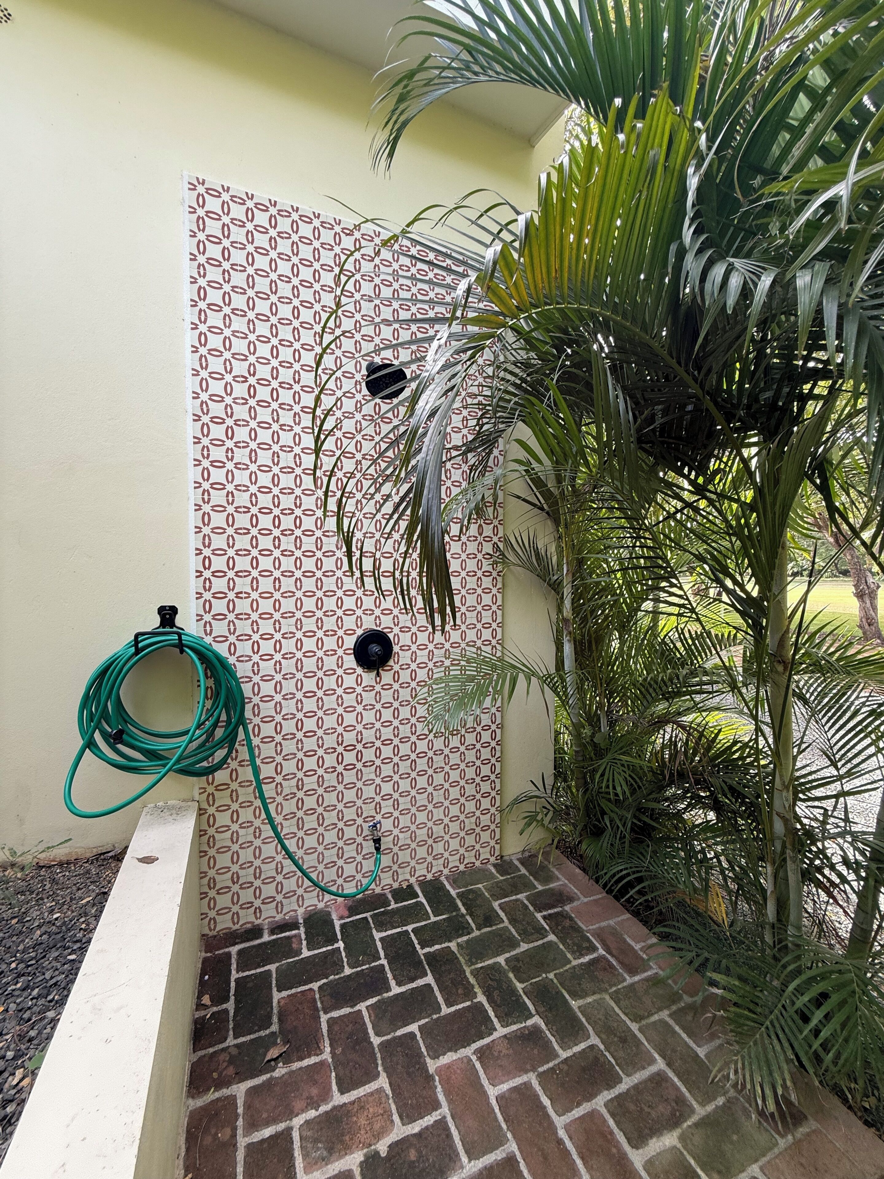 Une terrasse en briques avec un mur orné de motifs, un tuyau d’arrosage vert et un palmier.