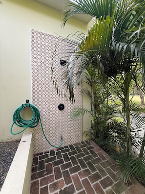 Un patio de ladrillo con un muro decorativo, una manguera verde y una palmera.