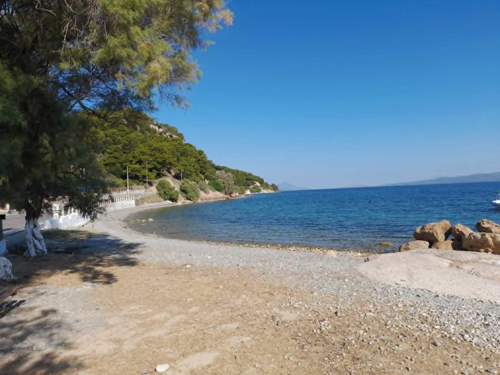 A beach with a rocky shoreline, a clear blue sky, and a tree-lined path.