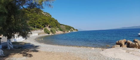 A beach with a rocky shoreline, a clear blue sky, and a tree-lined path.