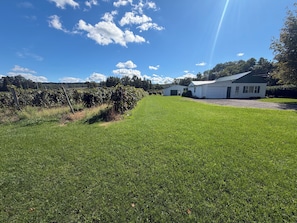 A grassy field with a white building and a garage.
