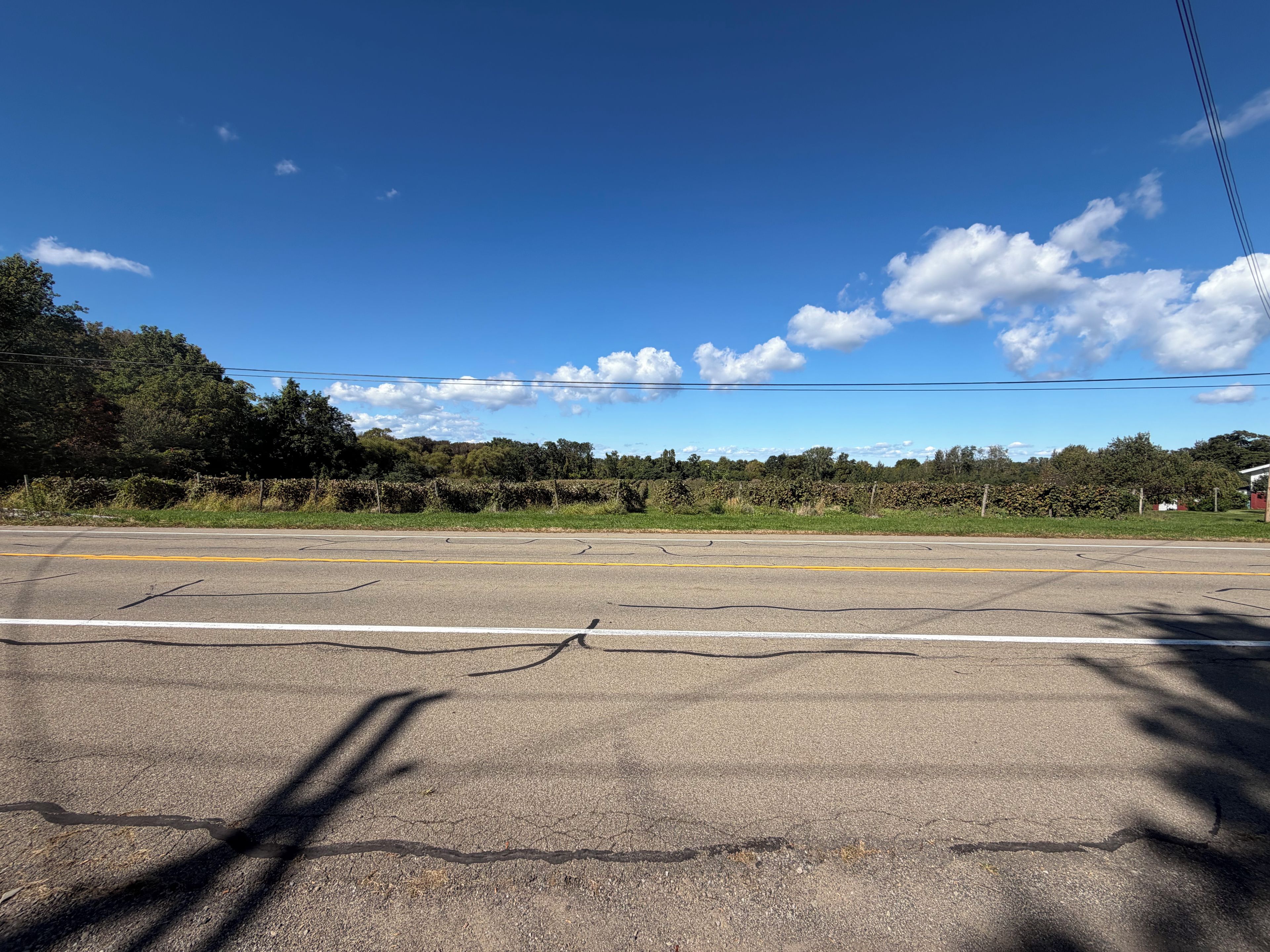 A road with a clear sky and distant trees.