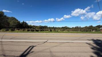 A road with a clear sky and distant trees.
