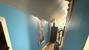 Un couloir aux murs bleus, avec un plancher en bois et une porte sur le côté gauche.