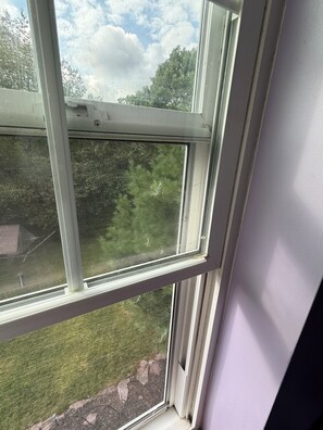 A window with a white frame and a mesh screen, overlooking a grassy area with trees.