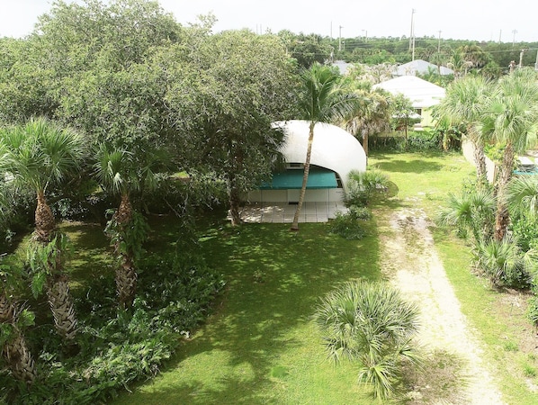 A dome-shaped building with a green roof, surrounded by lush greenery and a dirt path.