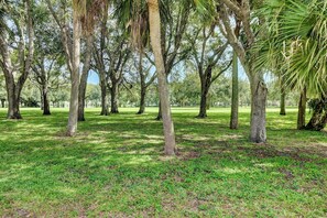 A park with a variety of trees and a well-maintained grassy area.