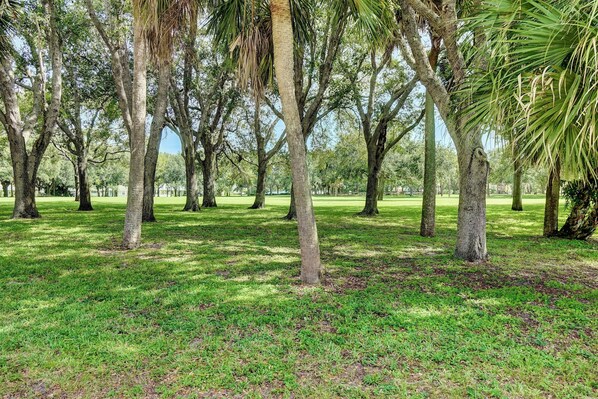 A park with a variety of trees and a well-maintained grassy area.