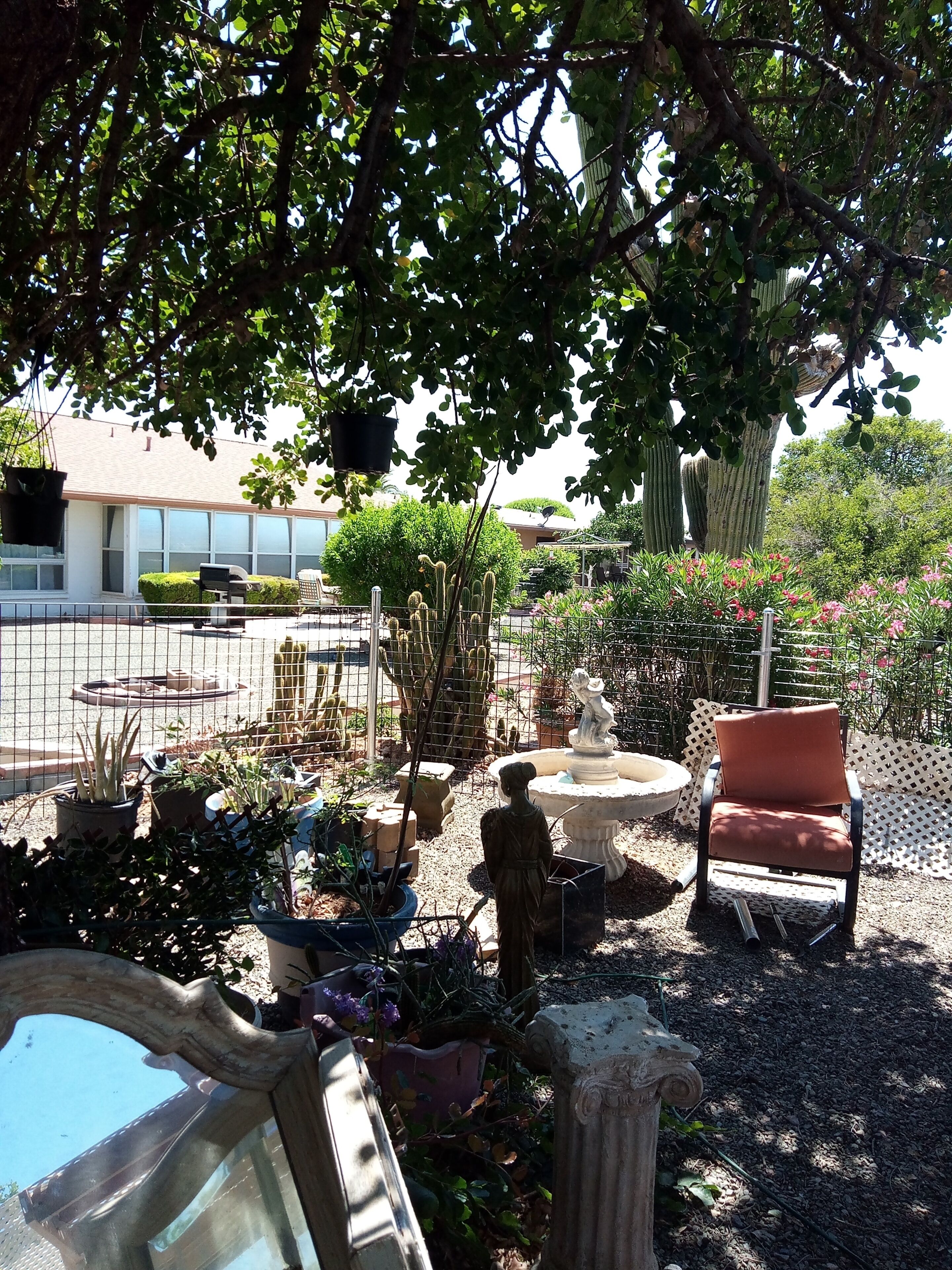 A garden with various plants, a statue, and outdoor furniture.