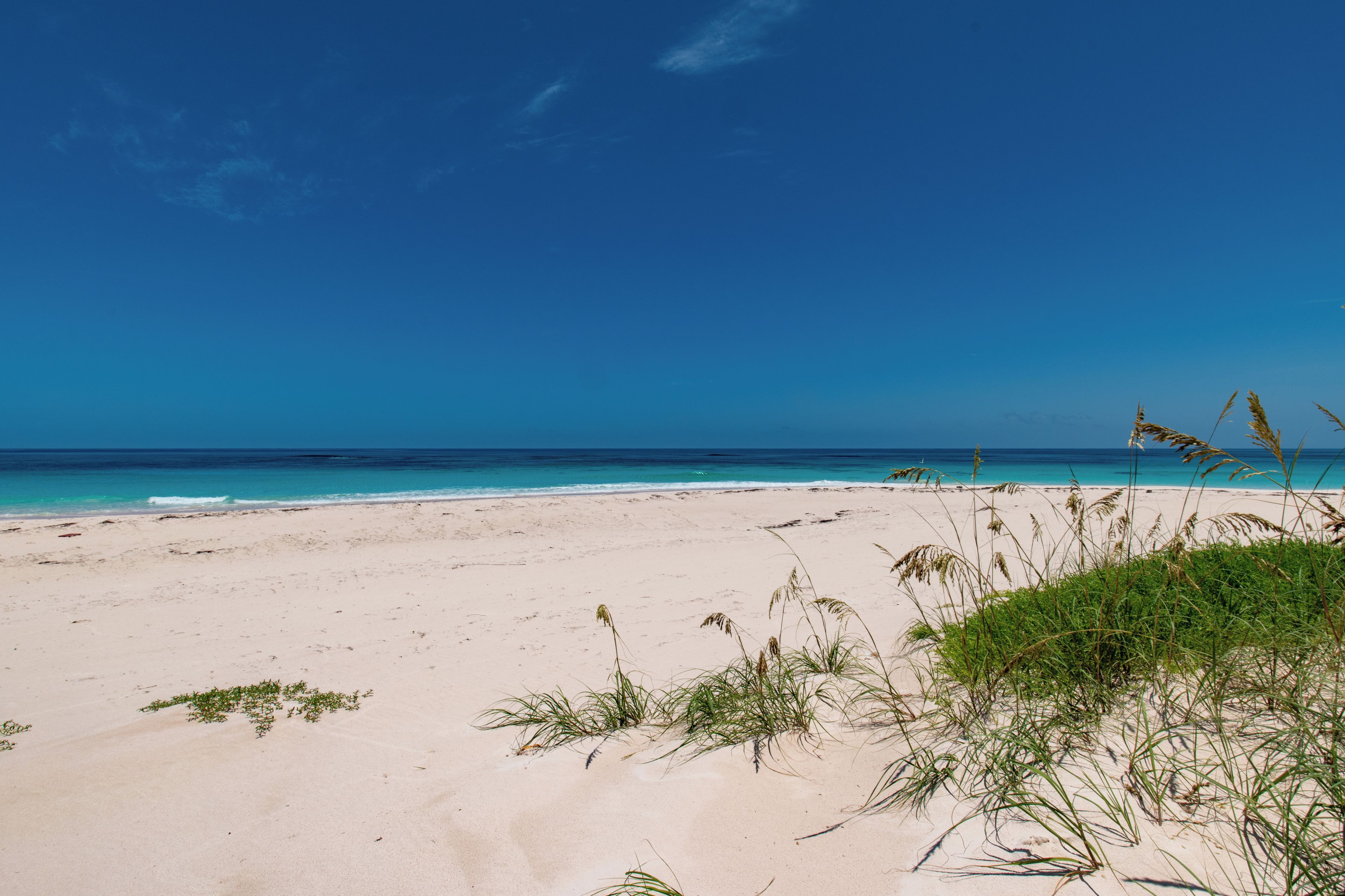 Una playa con agua azul cristalina y arena.
