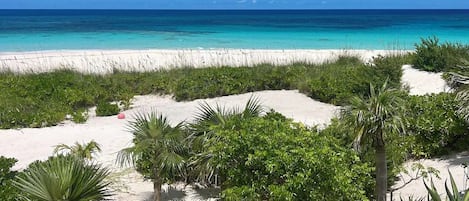 Una playa de arena blanca, vegetación verde y un océano azul cristalino.