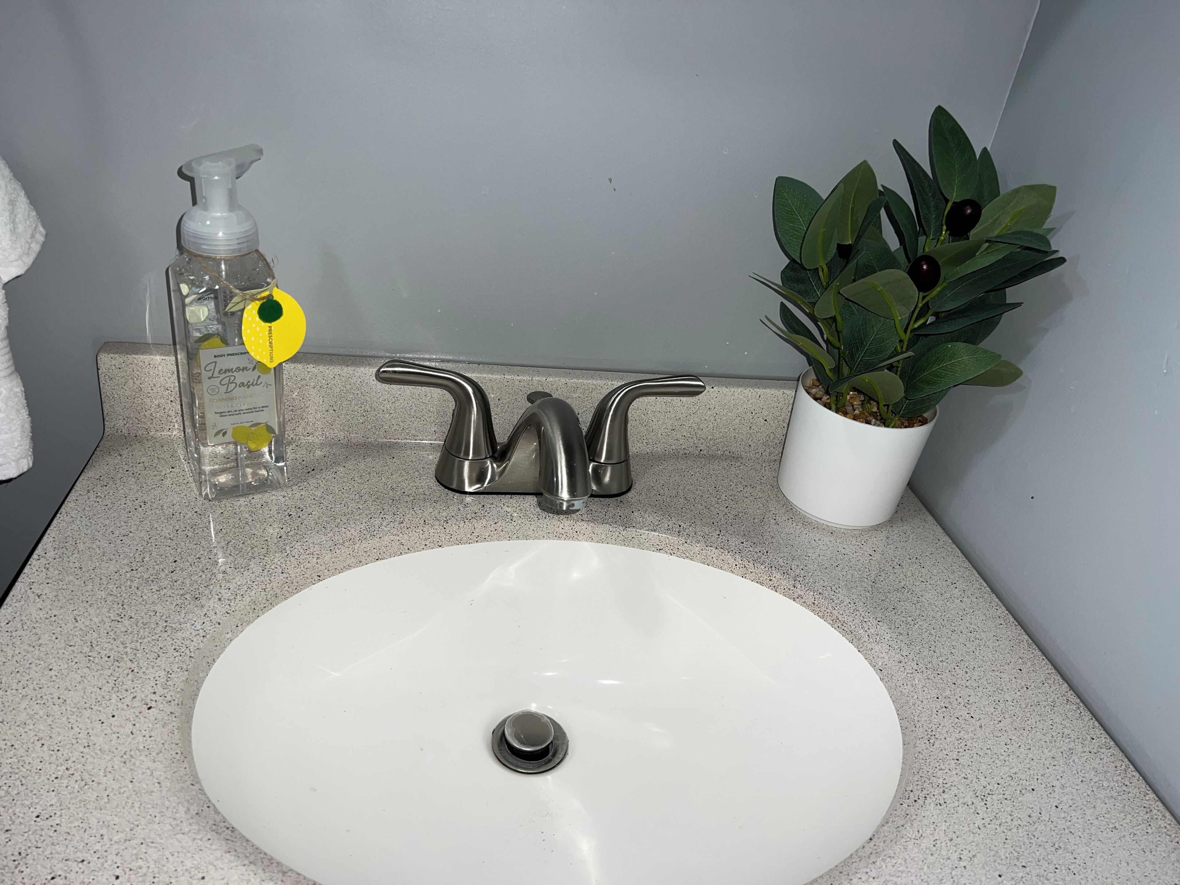 A bathroom sink with a modern faucet, a bottle of hand soap, and a potted plant.