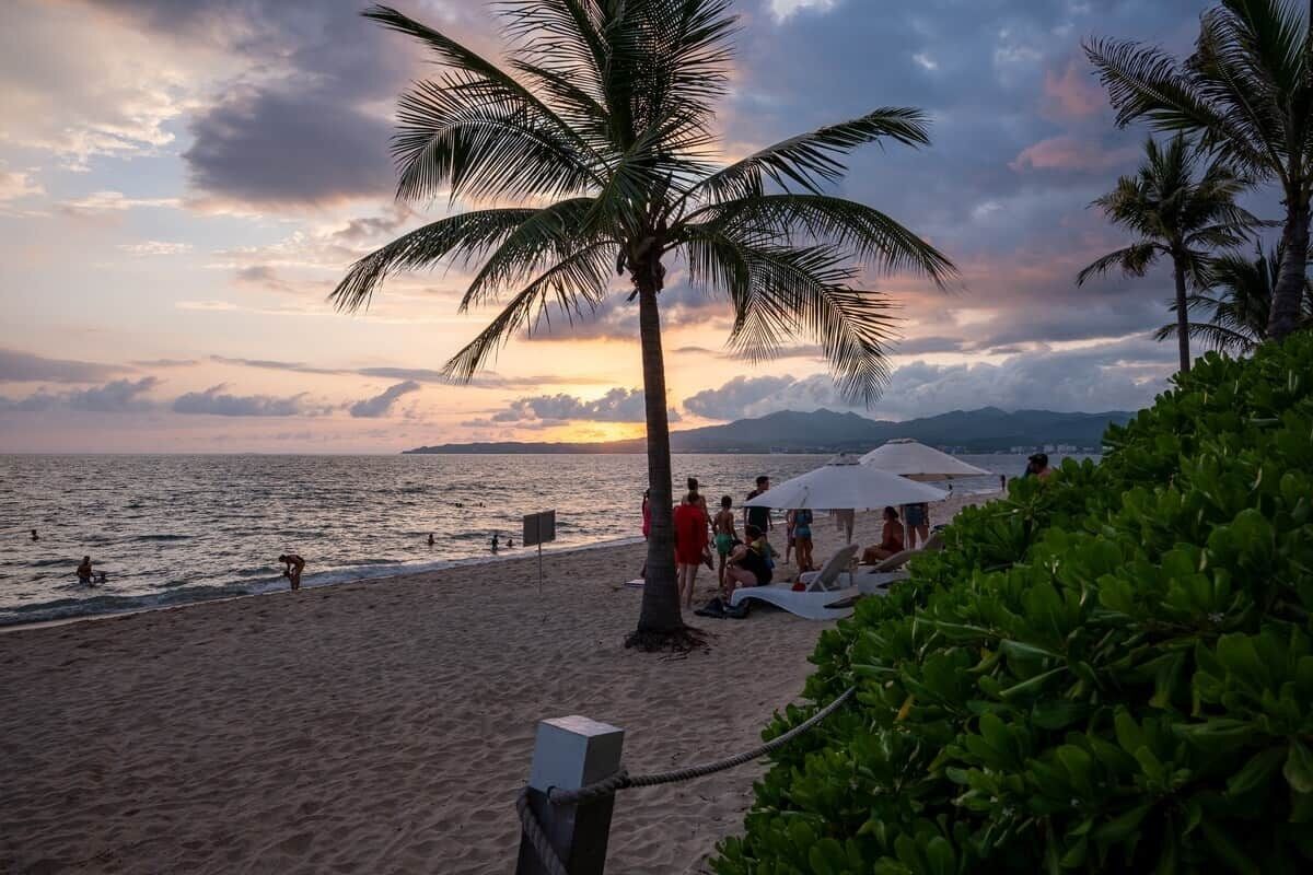 A beach with palm trees, a sunset, and people relaxing.