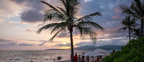 Una playa con palmeras, un atardecer y gente relajándose.
