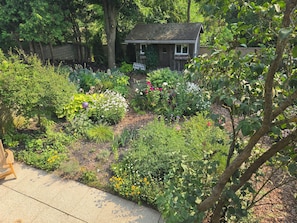 A garden with a variety of plants and a small wooden structure.