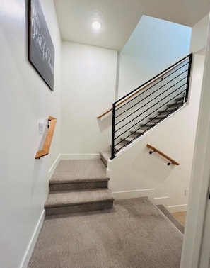 A staircase with carpeted steps, a black metal railing, and a wooden handrail.