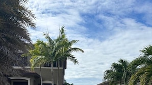 Una entrada de vehículos residencial con pavimento, palmeras y un garaje.