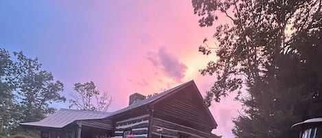 Une cabane en rondins surmontée d’un toit en métal, entourée d’un jardin où poussent des fleurs roses.