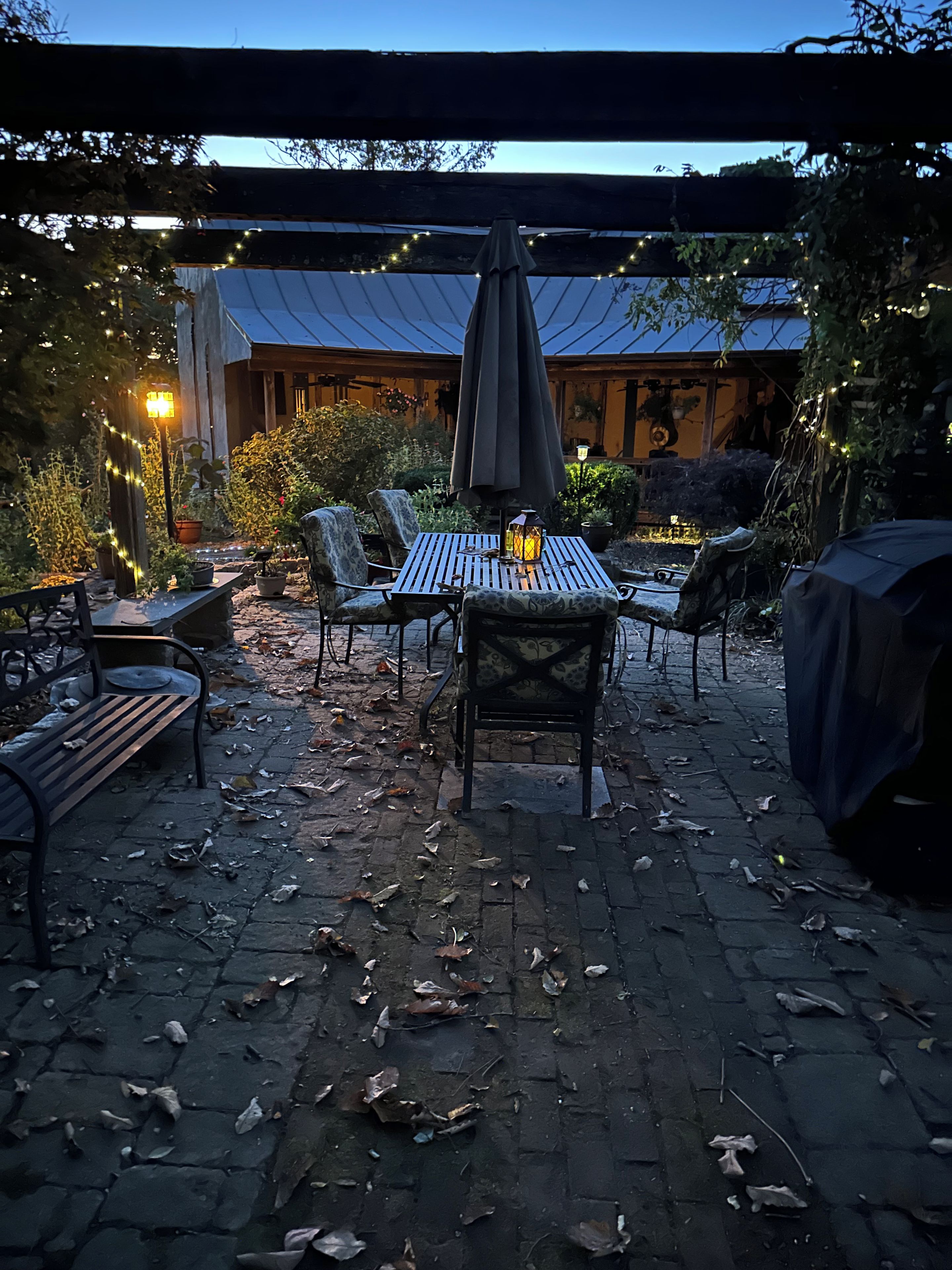 Ulkoterassi, jossa on pöytä ja tuoleja, ja jota ympäröivät ruukkukasvit sekä köynnöskasveilla koristeltu pergola, jossa on valonauhat.
