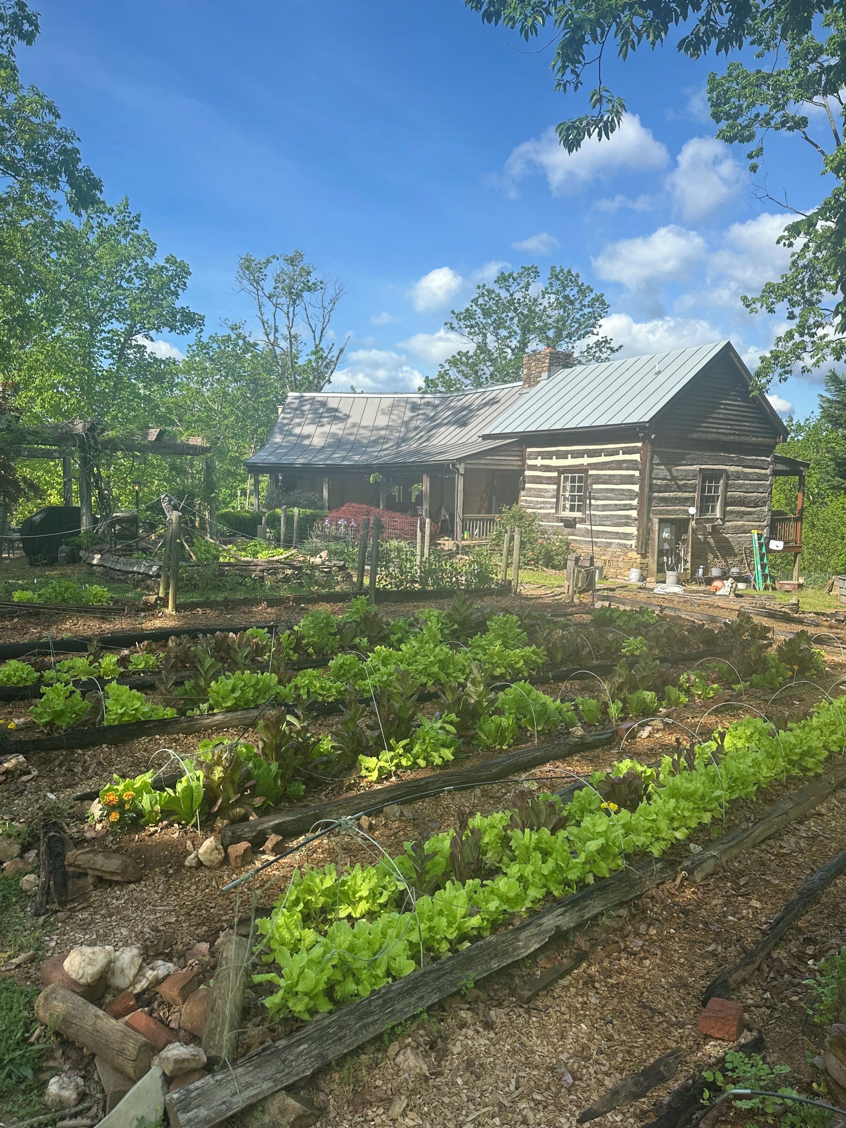 A rustic log cabin with a metal roof, surrounded by a vegetable garden with raised beds.