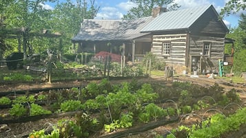 A rustic log cabin with a metal roof, surrounded by a vegetable garden with raised beds.