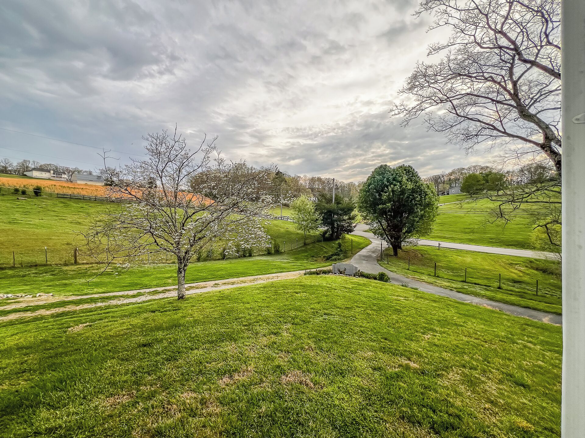 A rural landscape with a dirt path, green grass, and trees.