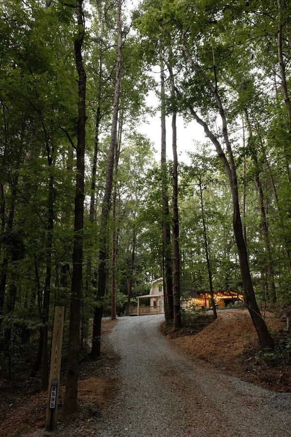 Une zone boisée avec un sentier de gravier menant à un chalet.