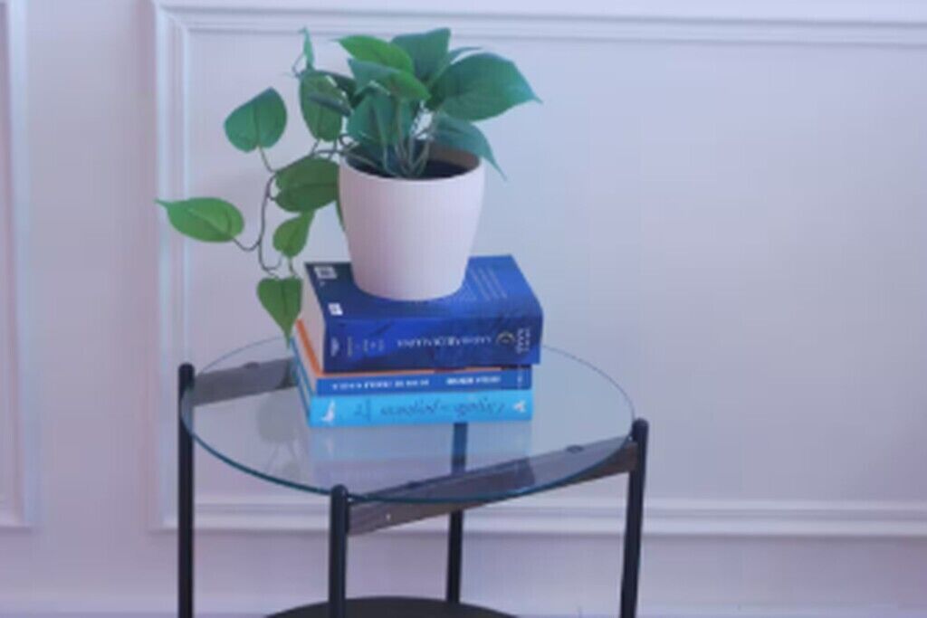 A glass table with a potted plant and stacked books.