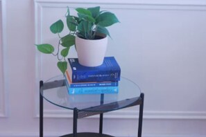 Una mesa de vidrio con una planta en maceta y libros apilados.