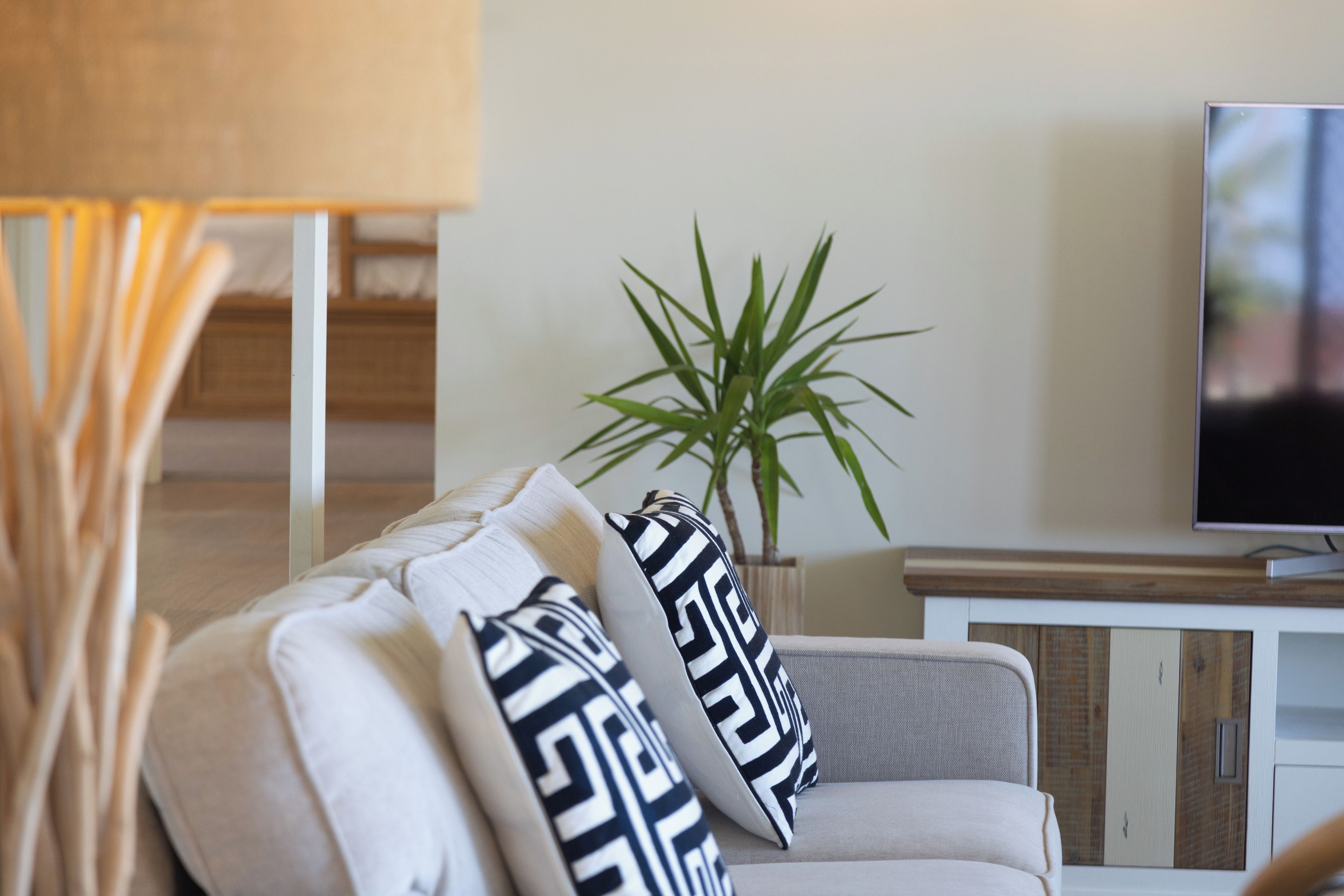 Una sala de estar moderna con un sofá, almohadones decorativos, un televisor y una planta en maceta.